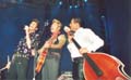 straycats02